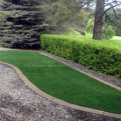 Synthetic Grass in Ranchette Estates, Texas