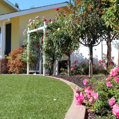 Artificial Turf in Timberwood Park, Texas