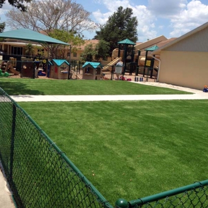 Fake Grass Carpet Citrus City, Texas Playground Safety, Commercial Landscape