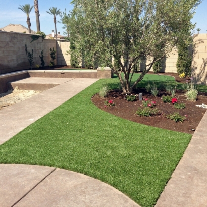 Artificial Grass in Southlake, Texas