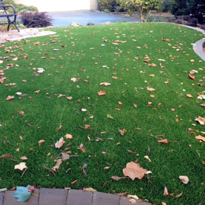 Fake Grass in Bangs, Texas - Better Than Real