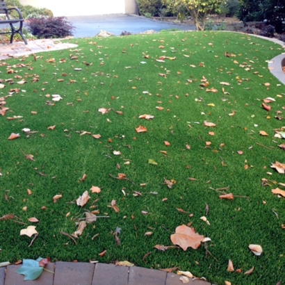 Artificial Turf in Blanket, Texas