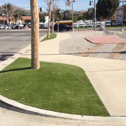 Fake Grass in Jolly, Texas - Better Than Real