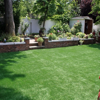 Fake Grass in Medina County, Texas