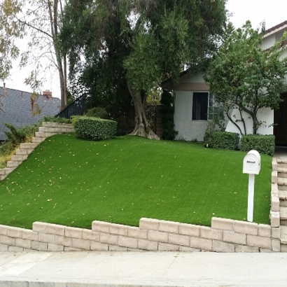 Fake Grass in Live Oak County, Texas - Better Than Real