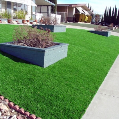 Fake Grass Carpet McKinney, Texas Landscaping, Front Yard Ideas