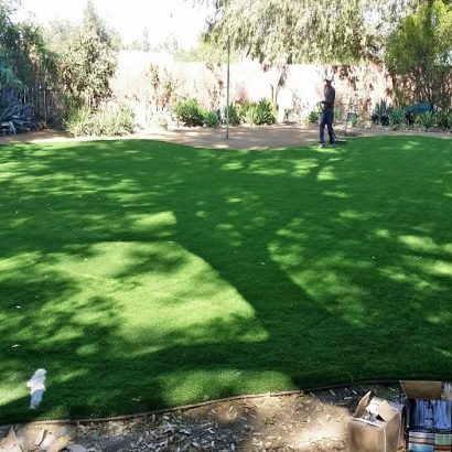 Synthetic Grass in Redfield, Texas