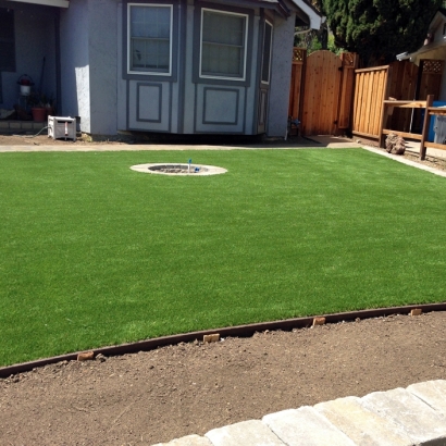 Artificial Turf in Central Gardens, Texas