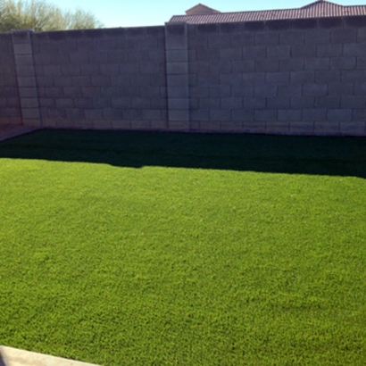 Synthetic Grass in Uncertain, Texas