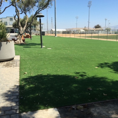 Synthetic Grass in Santa Anna, Texas