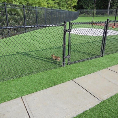 Artificial Grass in Cross Timber, Texas