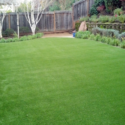Artificial Turf in Camp Swift, Texas