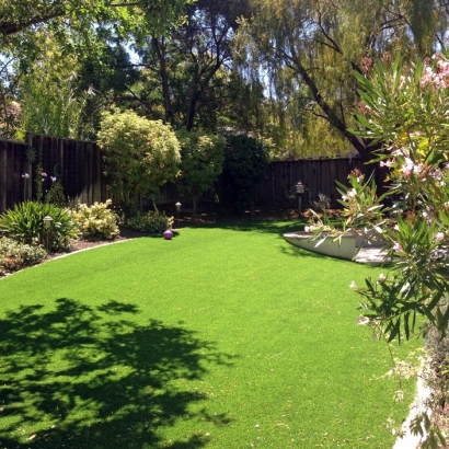 Fake Grass & Putting Greens in South Mountain, Texas