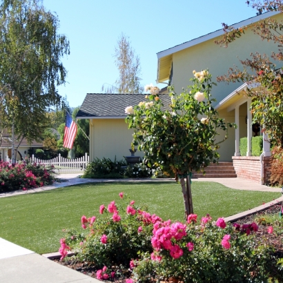 Fake Grass in Piney Point Village, Texas