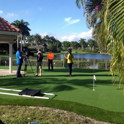 Fake Lawn Richardson, Texas Putting Green Grass, Backyard Makeover