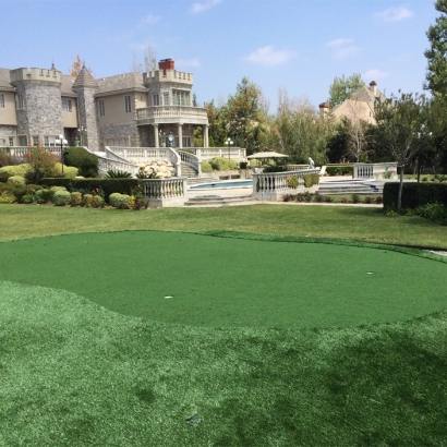 Synthetic Grass in Noonday, Texas