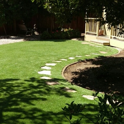 Synthetic Grass in Cibolo, Texas