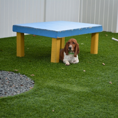 Backyard Putting Greens & Synthetic Lawn in North Richland Hills, Texas