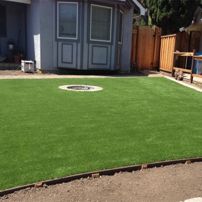 Fake Grass in Pleasant Valley, Texas