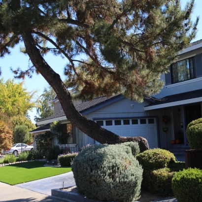 Fake Turf Amarillo, Texas Landscape Design, Front Yard Design