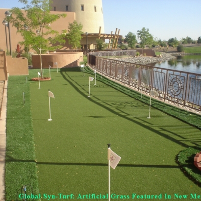 Fake Grass & Putting Greens in Onion Creek, Texas