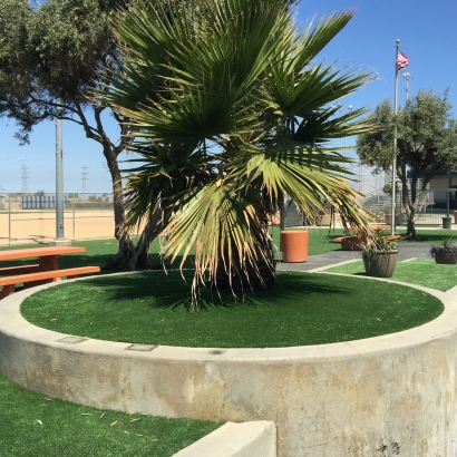 Fake Grass for Yards, Backyard Putting Greens in Woodcreek, Texas