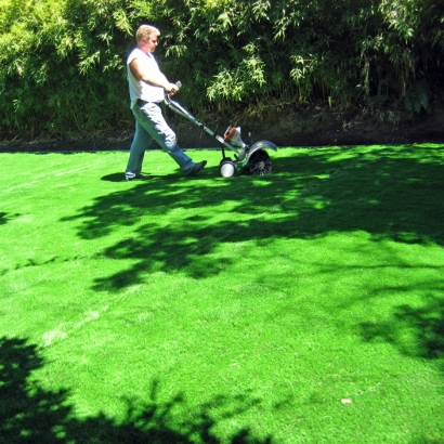 Backyard Putting Greens & Synthetic Lawn in Cienegas Terrace, Texas