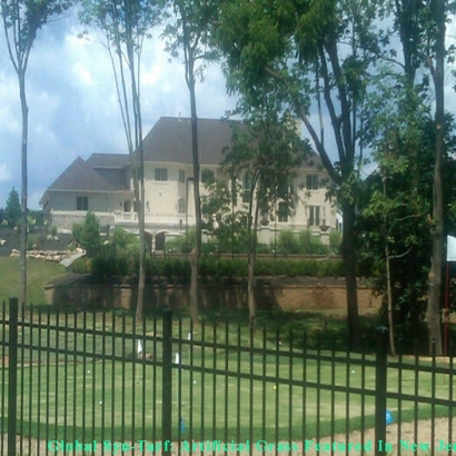 Synthetic Turf Depot in Dallas, Texas