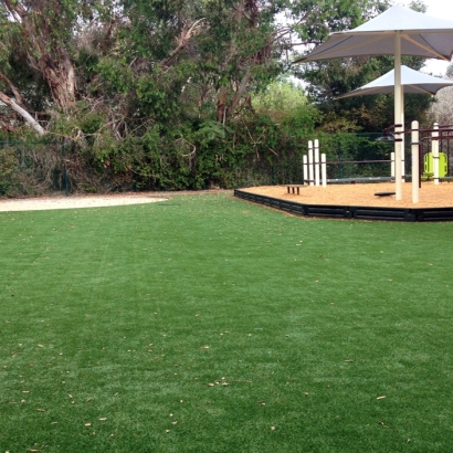 Artificial Turf in Timberwood Park, Texas