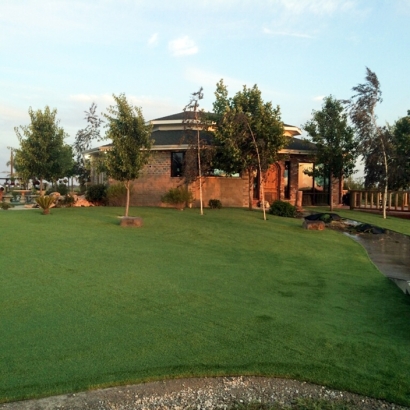 Artificial Grass in Union Valley, Texas