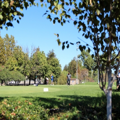 Synthetic Grass in Ballinger, Texas