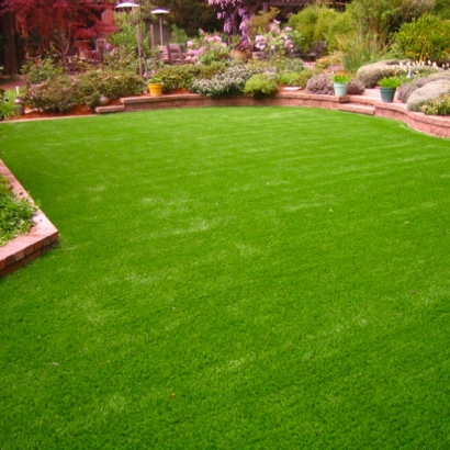 Artificial Grass in Homestead Meadows South, Texas