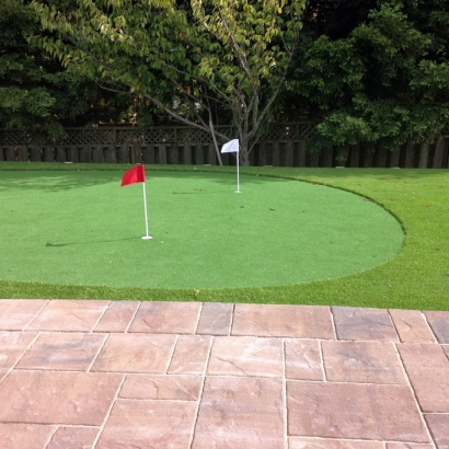 Faux Grass Sullivan City, Texas Putting Green, Beautiful Backyards