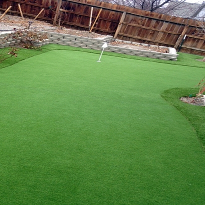 Grass Carpet Allen, Texas Artificial Putting Greens, Backyard Landscape Ideas