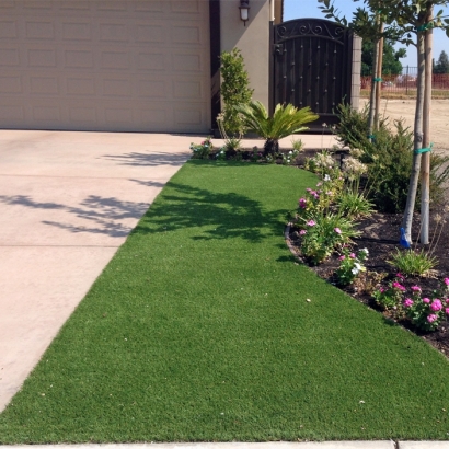 Artificial Grass in Zavala County, Texas