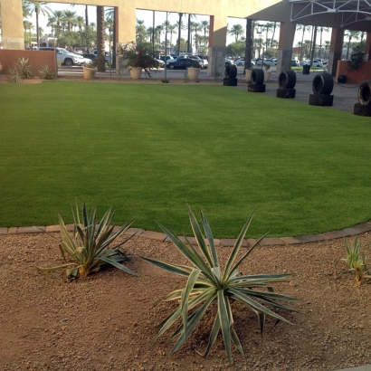 Fake Grass for Yards, Backyard Putting Greens in Madison County, Texas