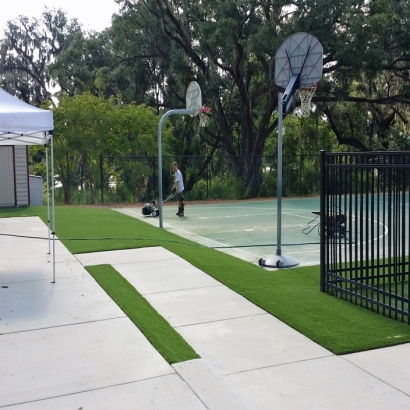 Fake Grass in Pecan Grove, Texas - Better Than Real