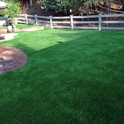 Grass Carpet Shallowater, Texas Indoor Dog Park, Backyard