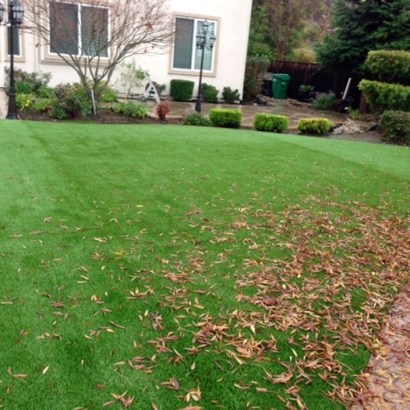 Artificial Grass in Laguna Heights, Texas