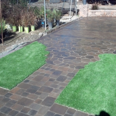 Artificial Grass in Bosque County, Texas