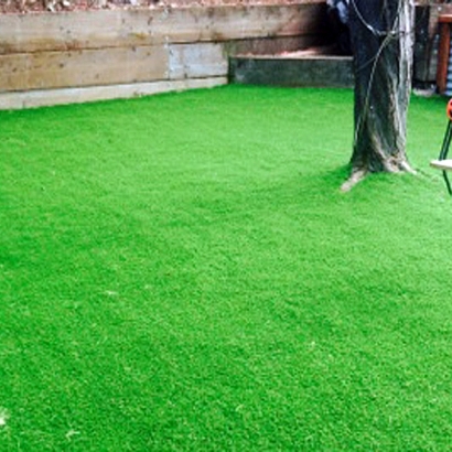 Artificial Grass in Horseshoe Bay, Texas