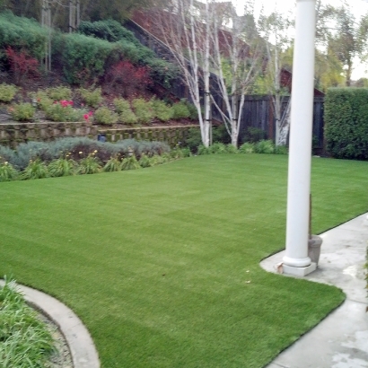 Home Putting Greens & Synthetic Lawn in Roman Forest, Texas