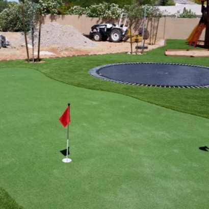 Fake Grass & Synthetic Putting Greens in Fresno, Texas