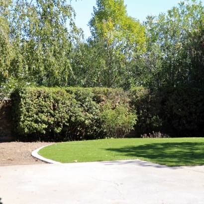 Fake Grass for Yards, Backyard Putting Greens in Pine Forest, Texas