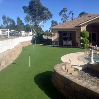 Fake Grass & Putting Greens in Krugerville, Texas