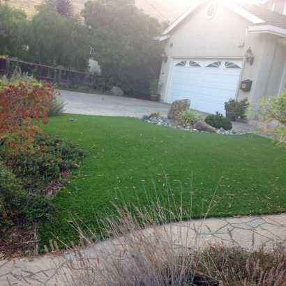 Synthetic Grass in Somervell County, Texas