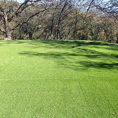 Putting Greens & Synthetic Turf in Hidalgo, Texas