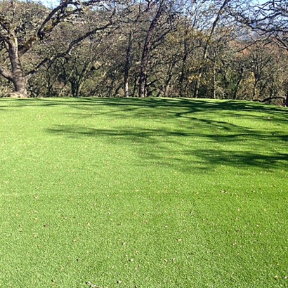 Synthetic Turf in McAllen, Texas