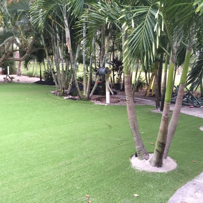 Artificial Grass in Green Valley Farms, Texas