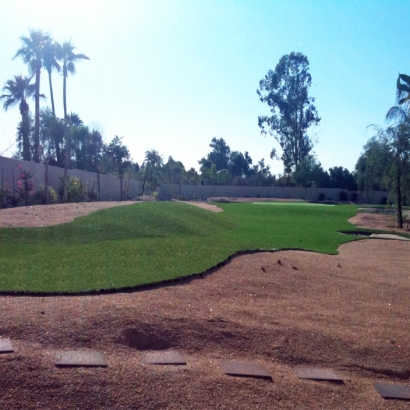 Backyard Putting Greens & Synthetic Lawn in Hillcrest, Texas